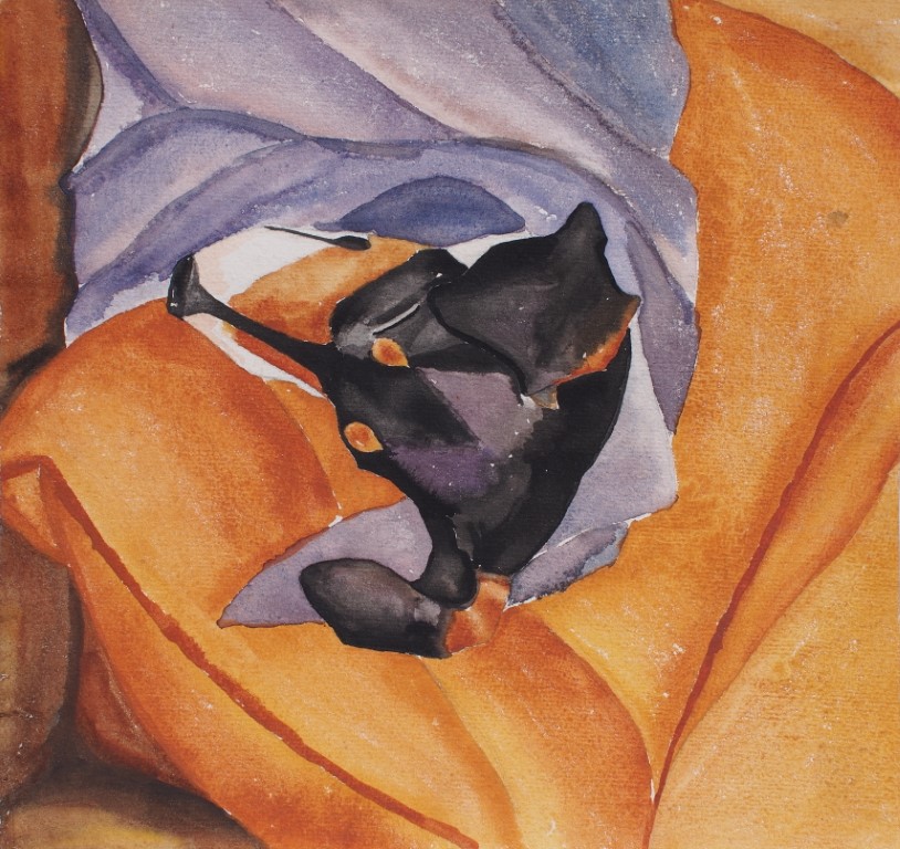 Watercolour painting of dog lying on cushion of orange couch by Francois Hugo