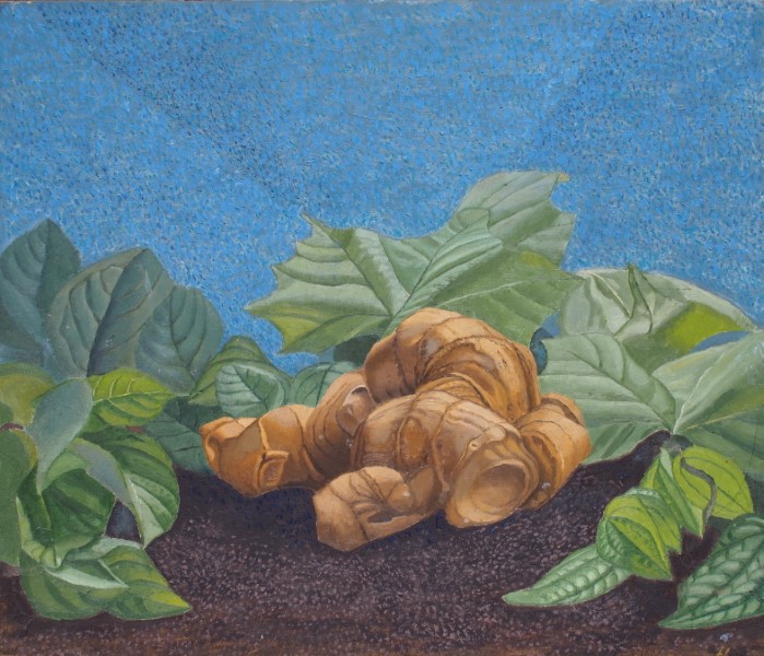 oil painting titled chrysalis by Francois Hugo with kahili ginger root and leaves 