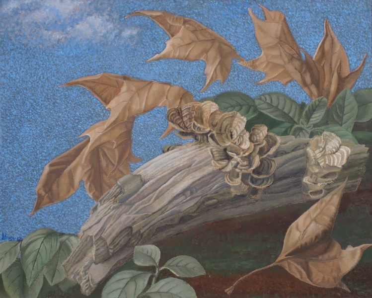 Leaves and beautiful fungus growing on log painting