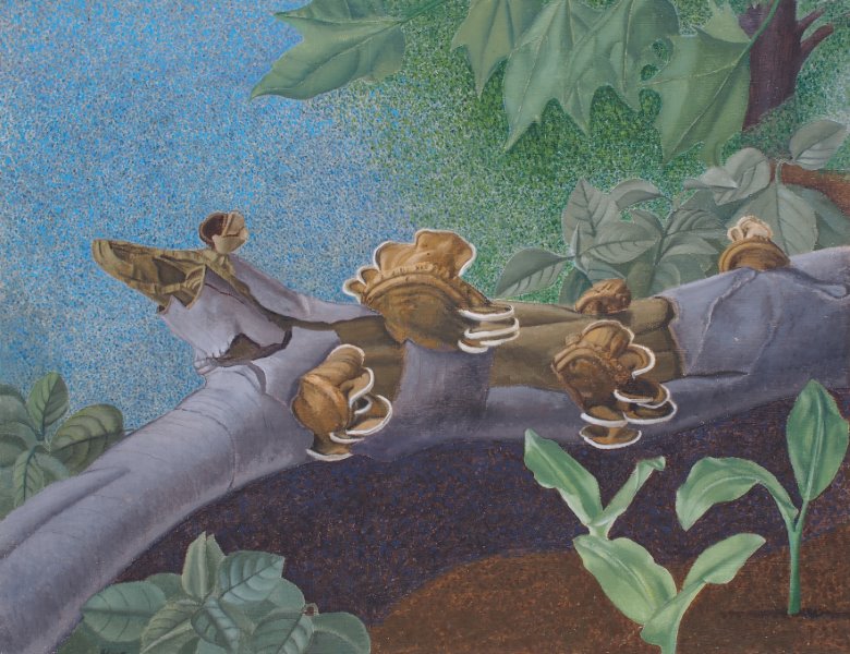 oil painting titled prolific tree with fungus growing on fallen log by Francois Hugo